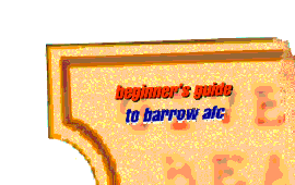 beginner's guide